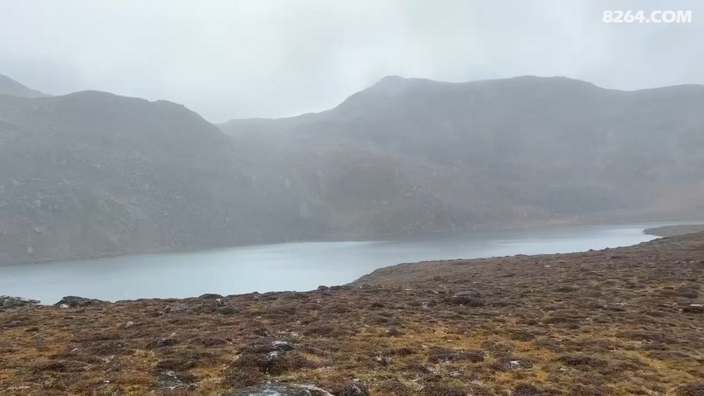 ���´��ˣ���ľ��ǰ��һ����