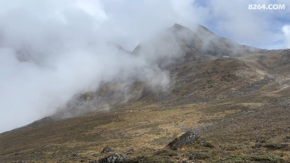 ����ľ�򷵻أ�������ǰ��մ�ͳ�켣���µ�����������ϵ�϶���