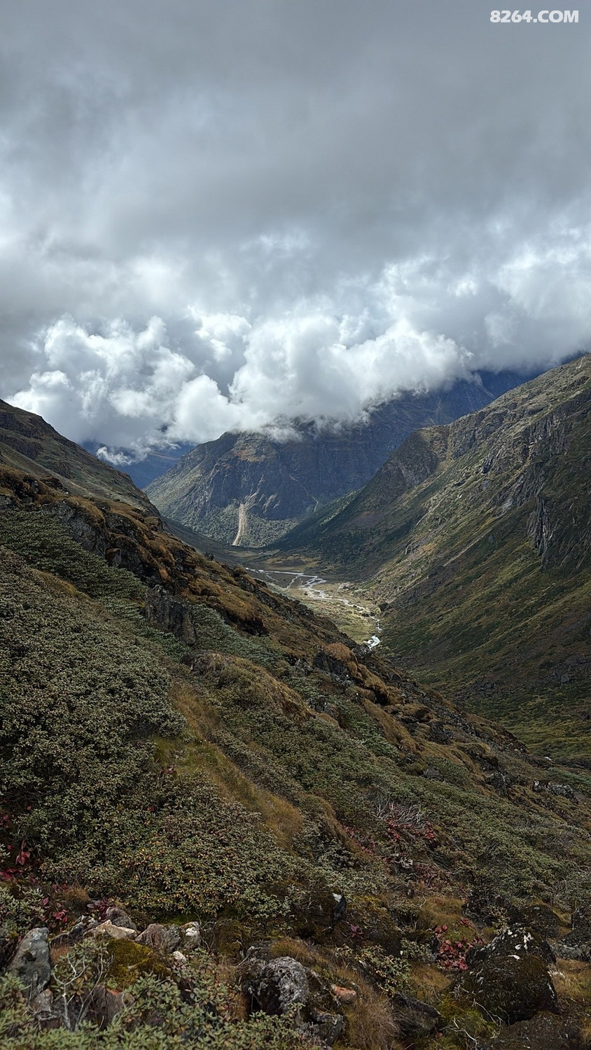 Զ���ӹȣ���������