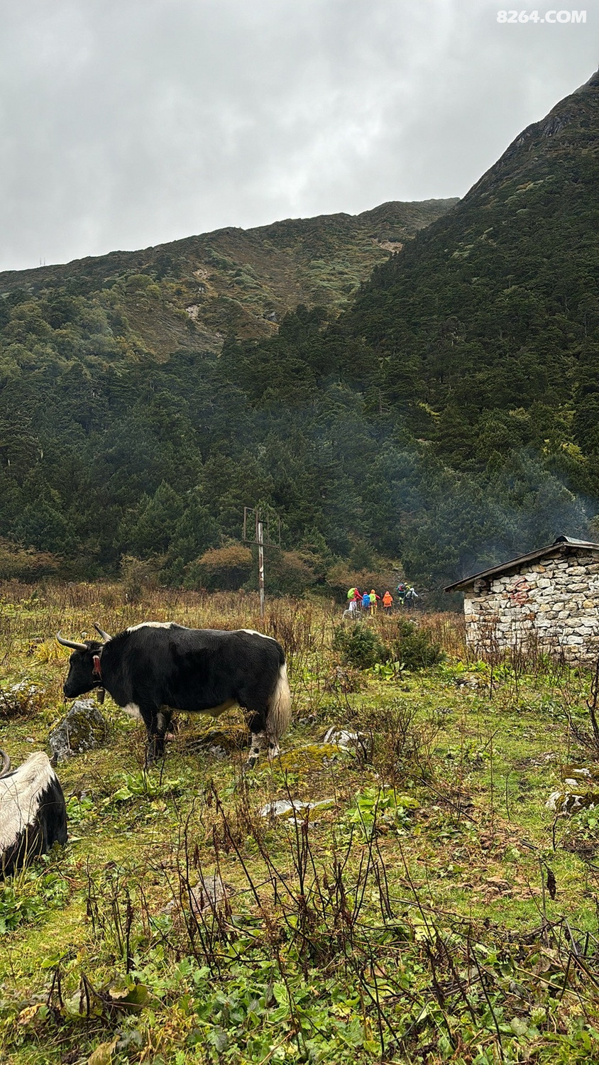 ��ɽ·��һ�����Ҫ��ɽԽ��