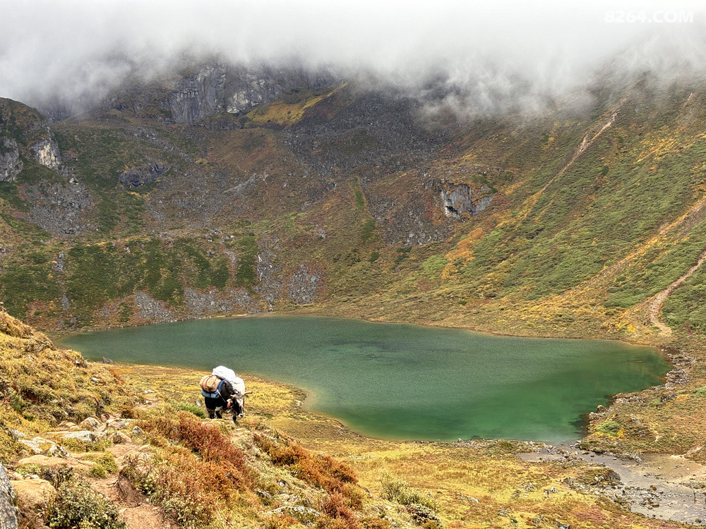 ţţ��ţ����Ƭ