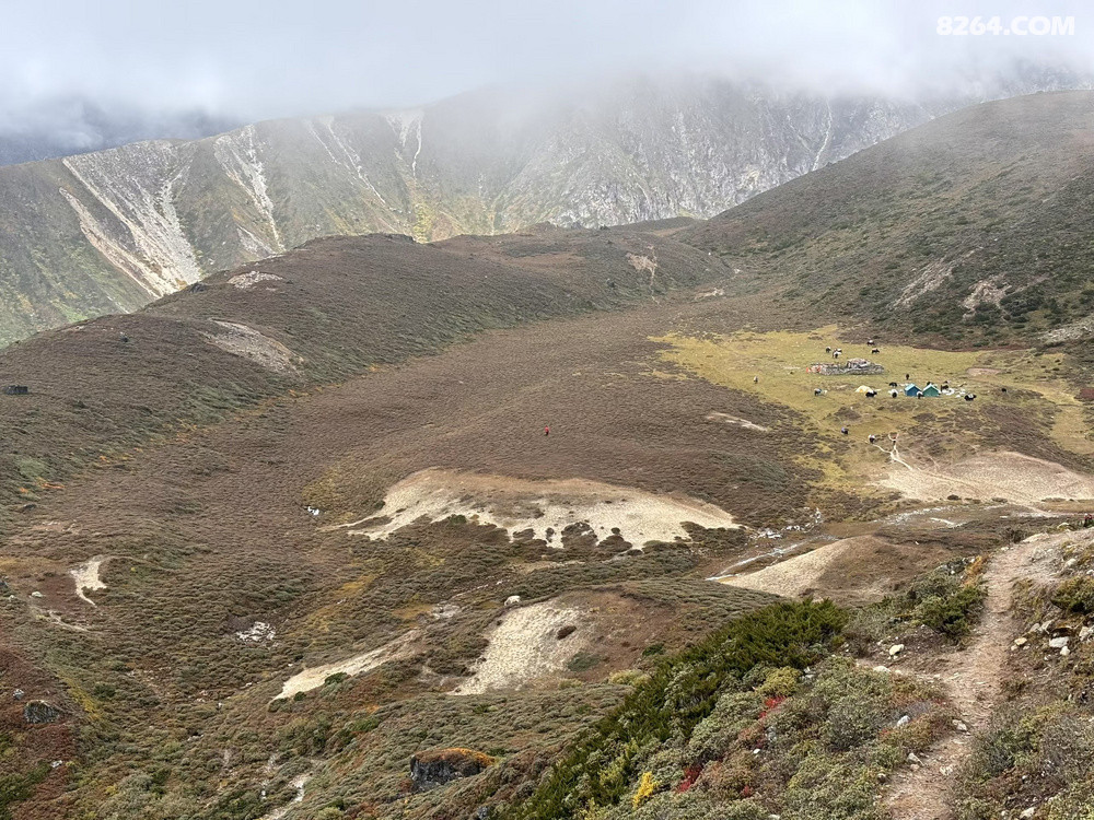 ��������Ӫ��