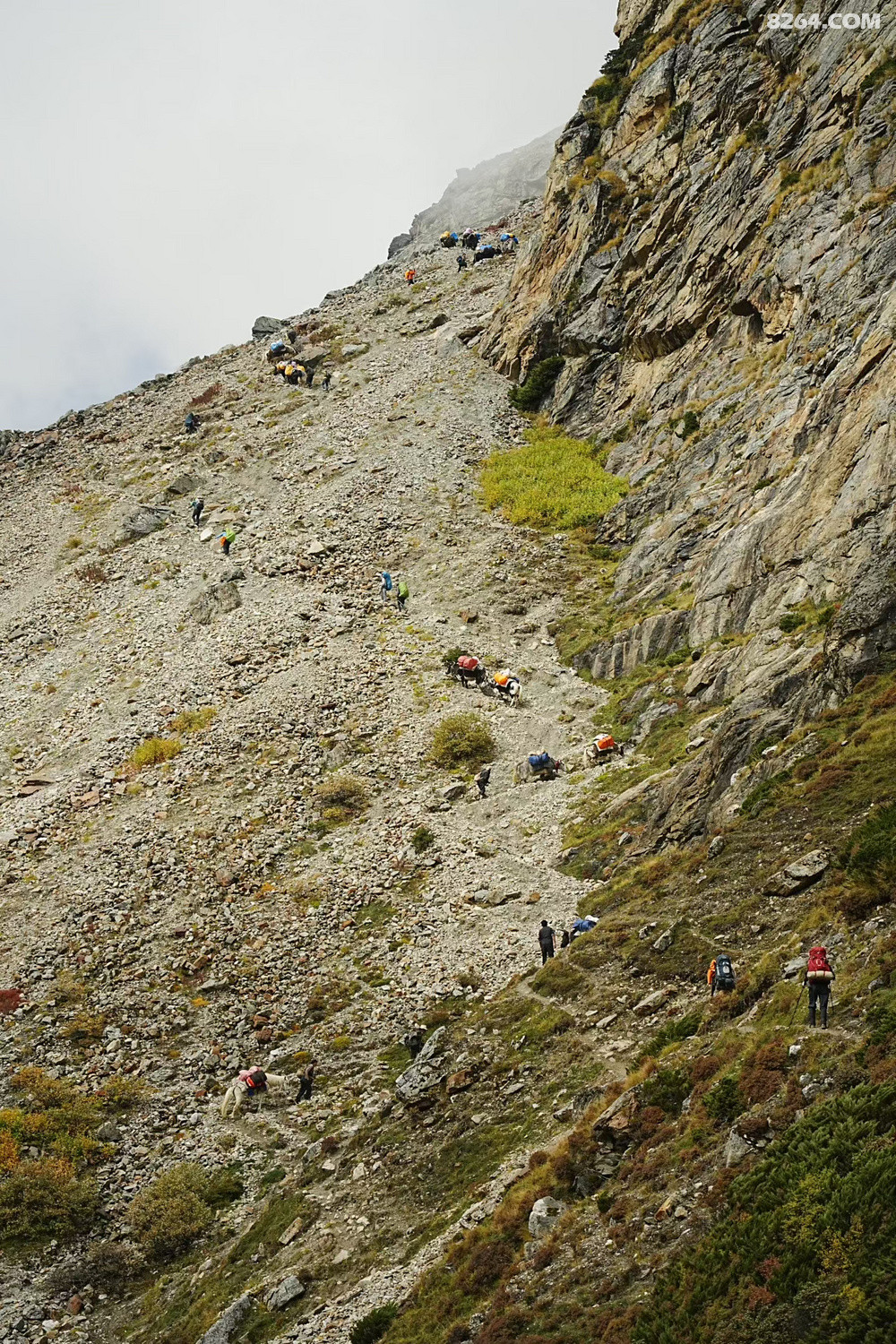 ���ӷ�����������