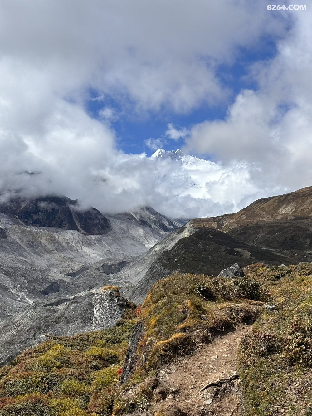 �쵽Ӫ���ˣ��ұ���Լ�ɼ�Ӫ��