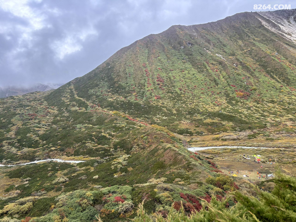 ���»�ͷ��