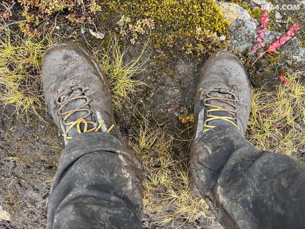 ����͵�һ��