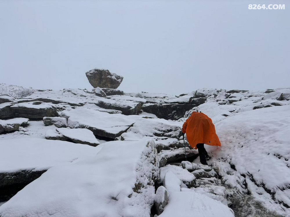 ���������ʯ