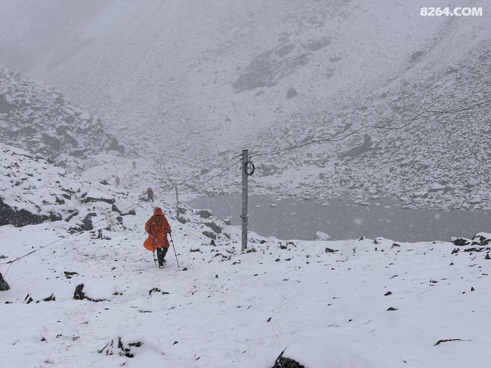 ���ѣ���ϲ��������棬��ѩ����