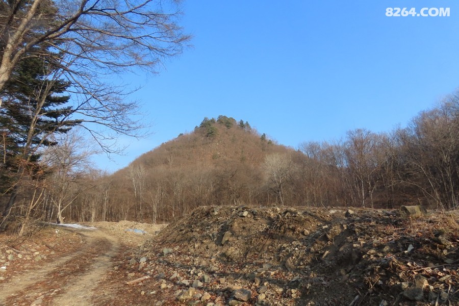 IMG_7781.jpg