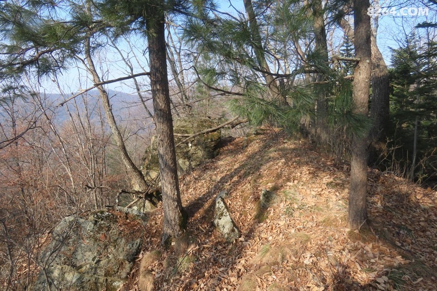 IMG_7816.jpg
