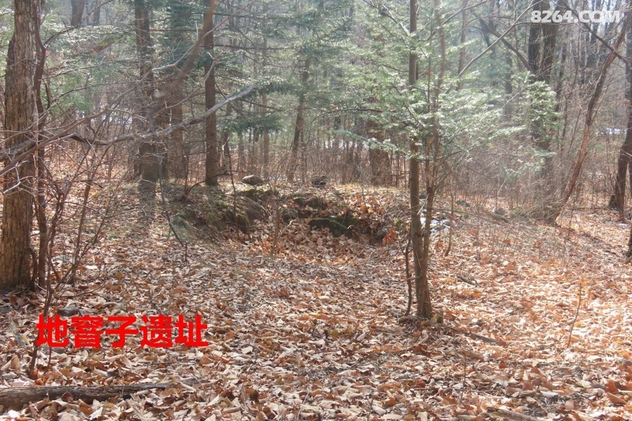 IMG_7843.jpg