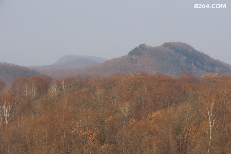 IMG_7888.jpg