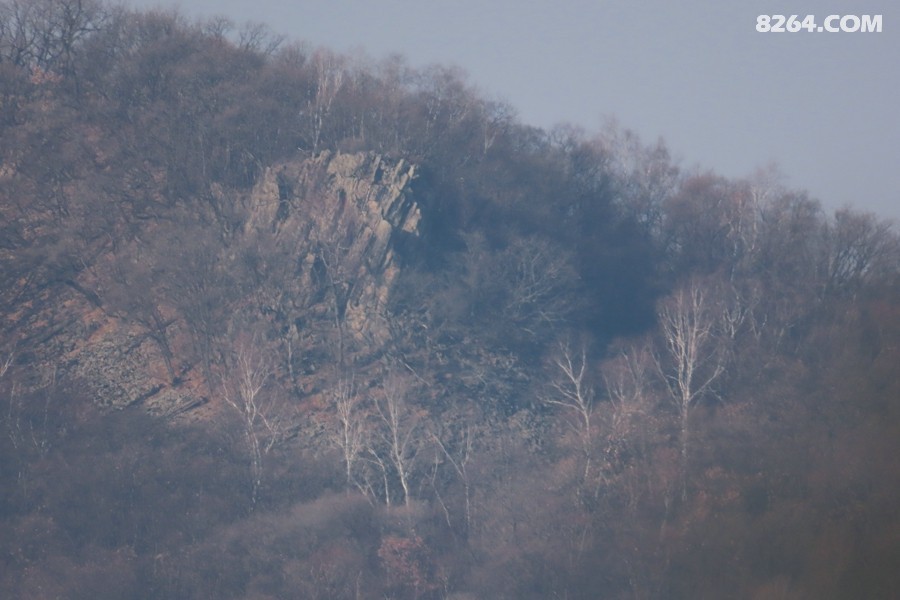 IMG_7890.jpg
