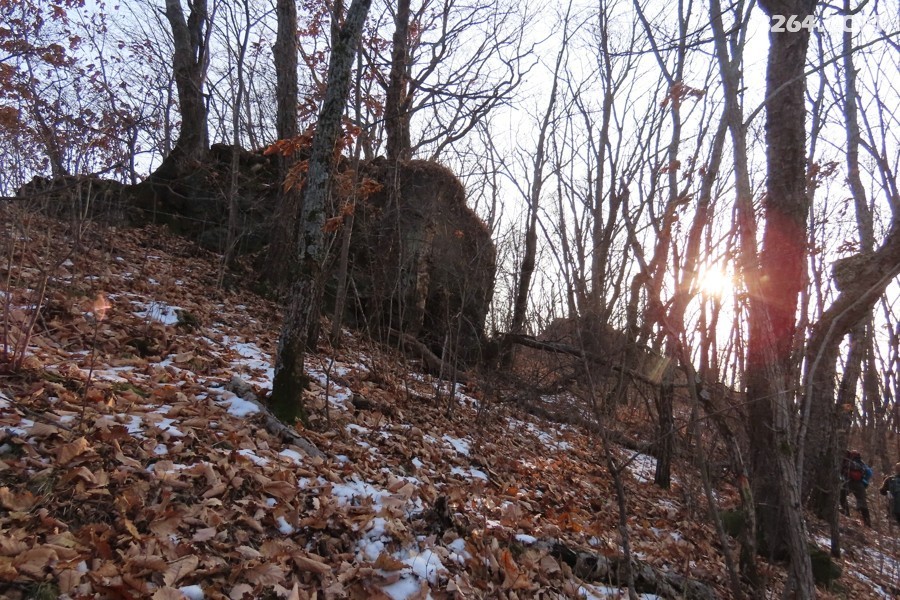 IMG_7914.jpg