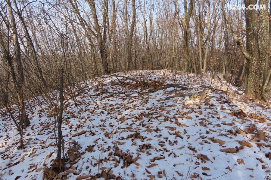IMG_8047.jpg