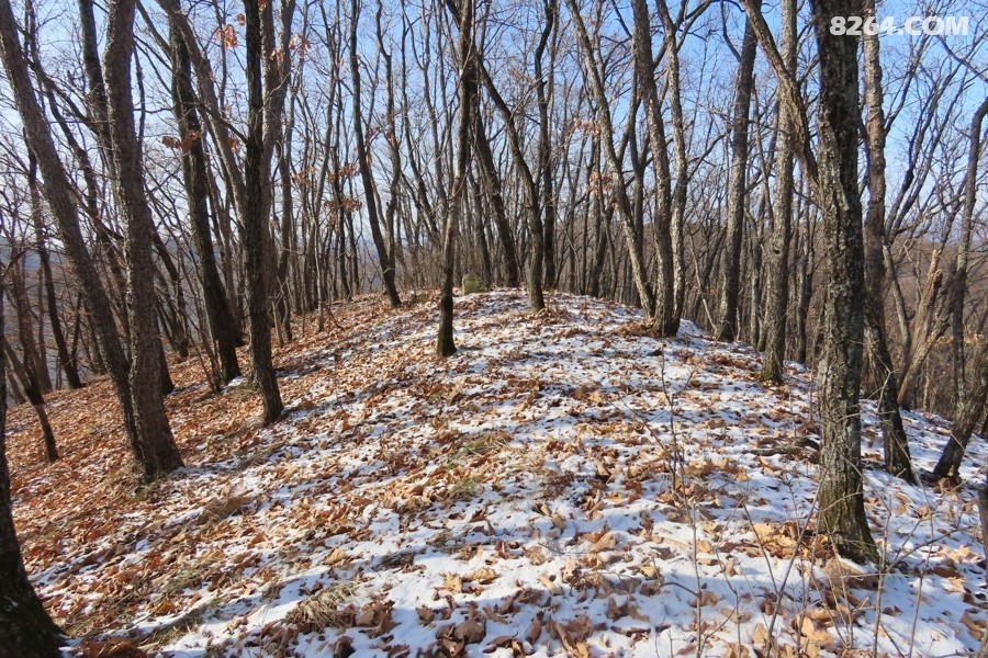 IMG_7978.jpg