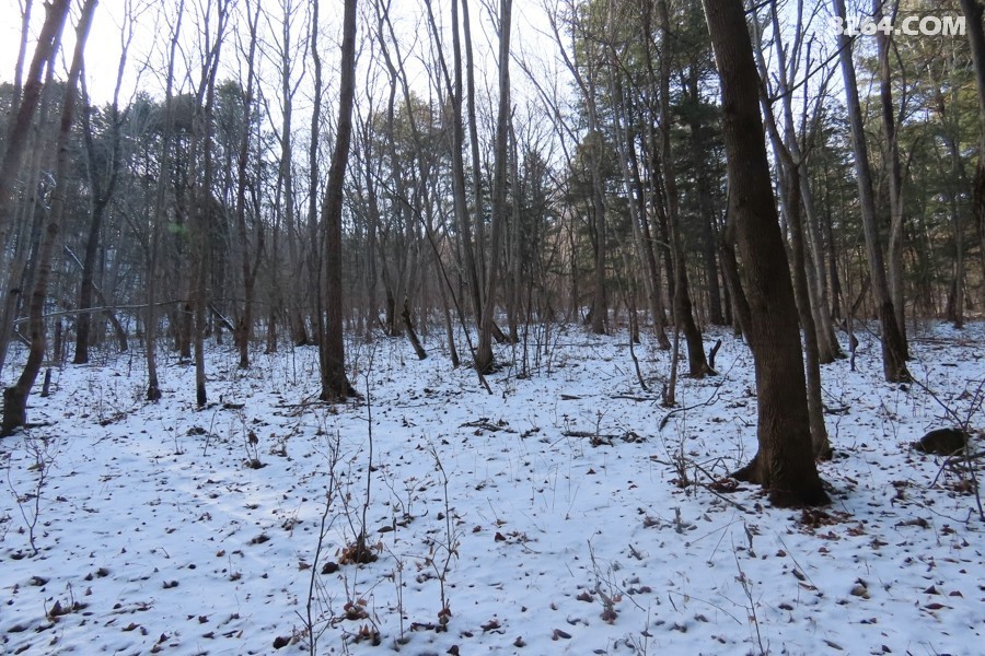 IMG_7976.jpg