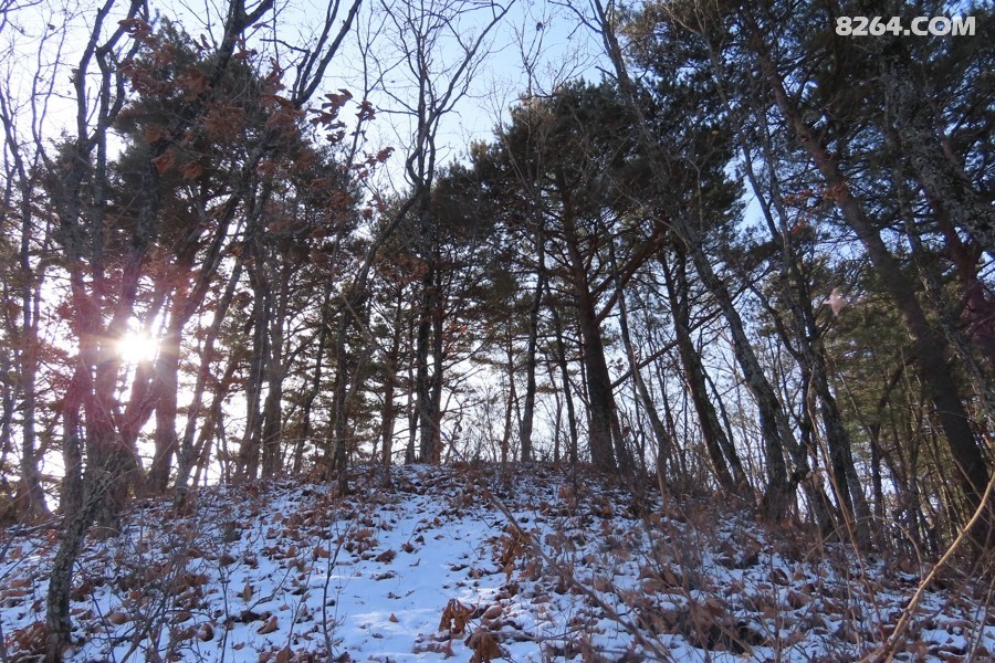 IMG_7983.jpg