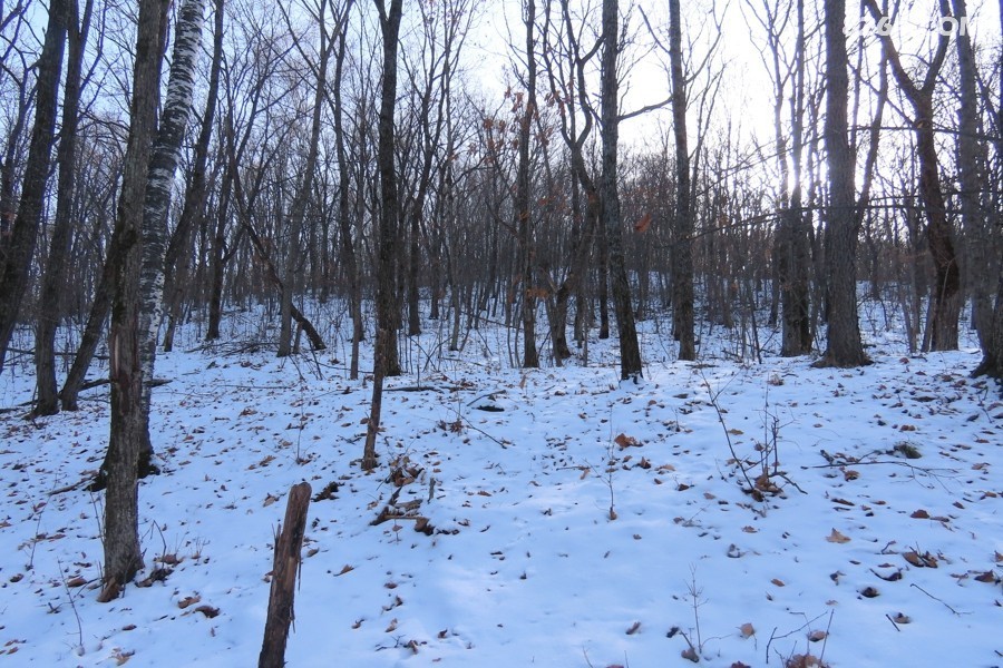 IMG_7992.jpg