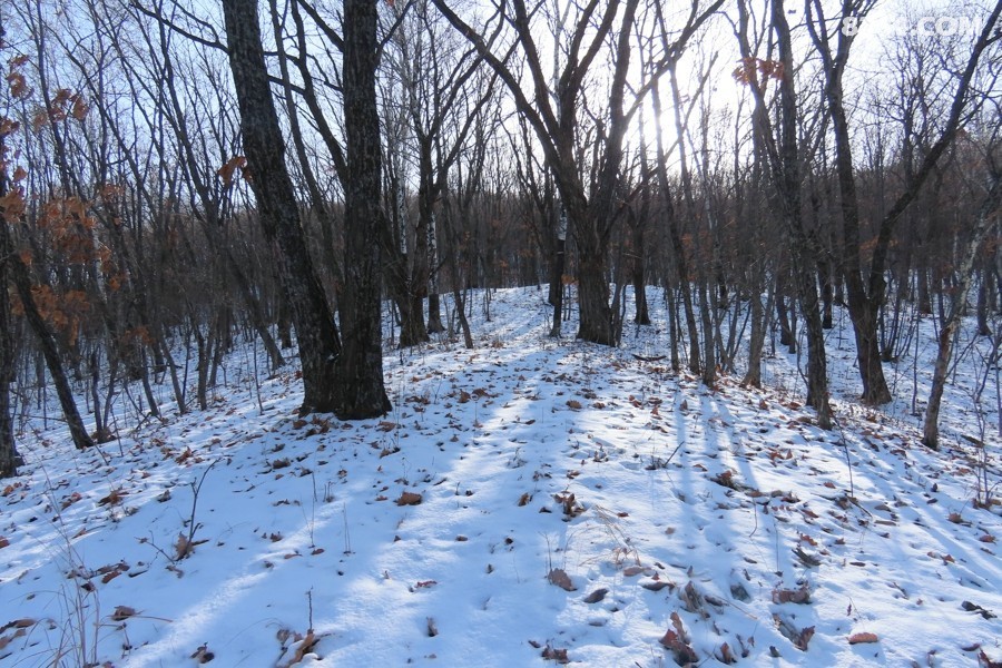 IMG_7991.jpg