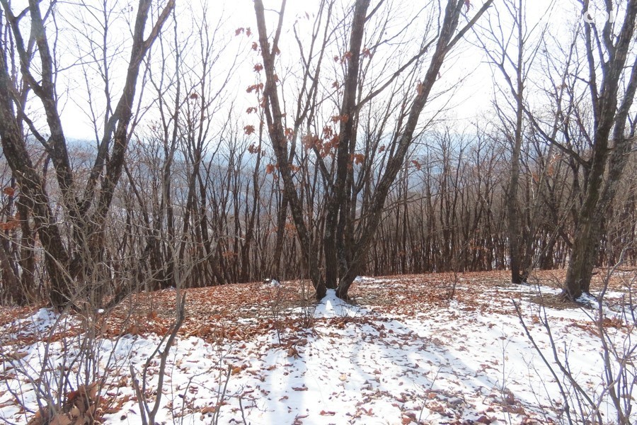 IMG_8000.jpg
