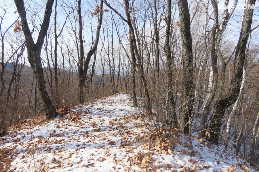 IMG_8009.jpg