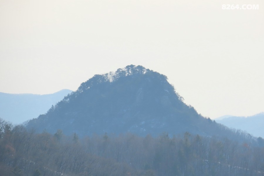 IMG_8035.jpg