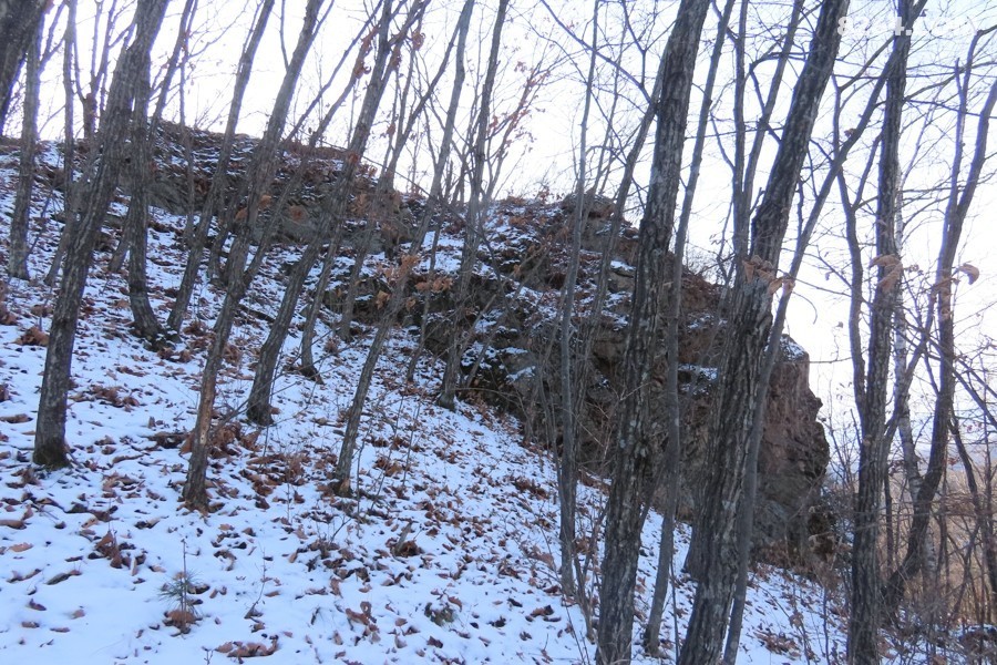IMG_8045.jpg