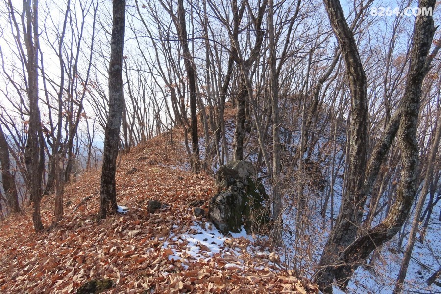 IMG_8041.jpg