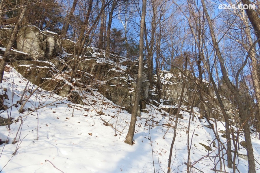 IMG_8142.jpg