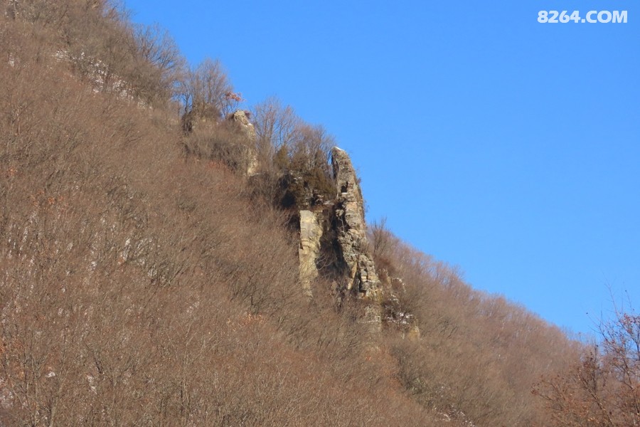 IMG_8087.jpg