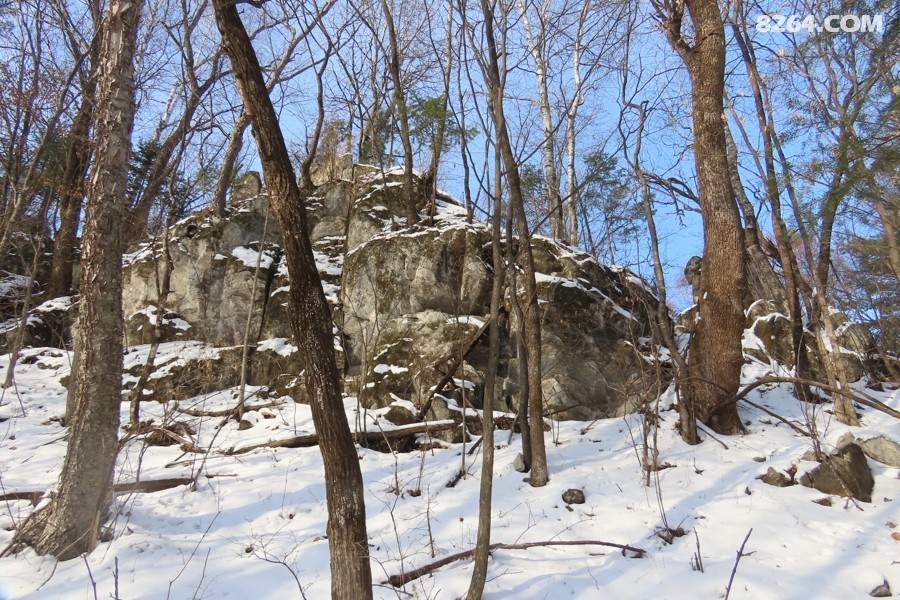 IMG_8139.jpg