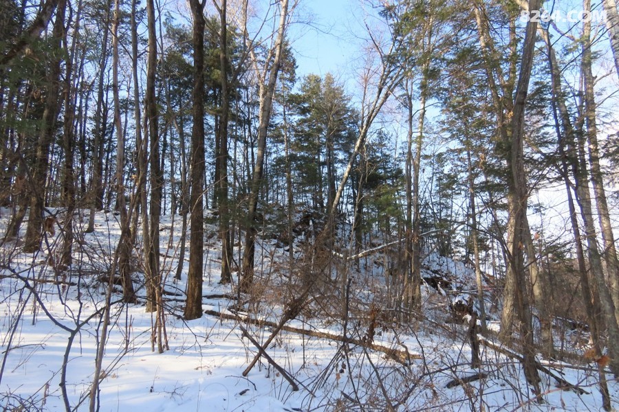 IMG_8167.jpg