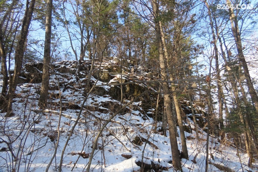 IMG_8170.jpg