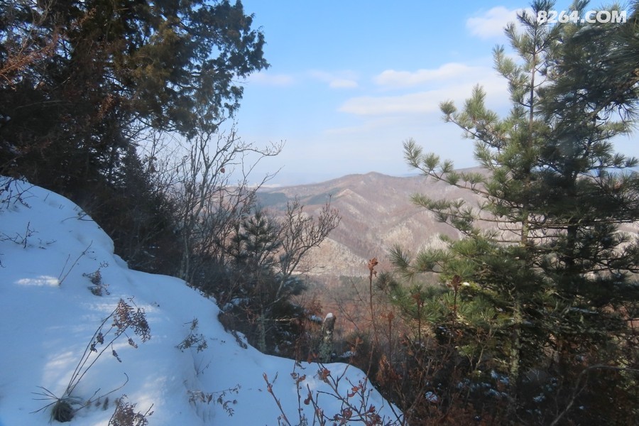 IMG_8178.jpg
