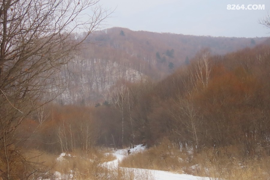 IMG_8261.jpg