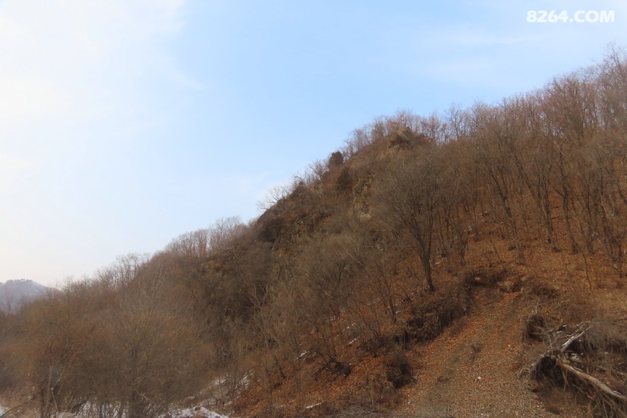 IMG_8264.jpg