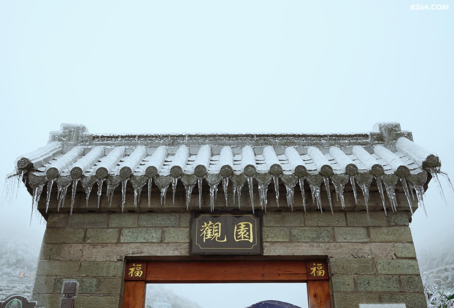 DSC03635_����.jpg