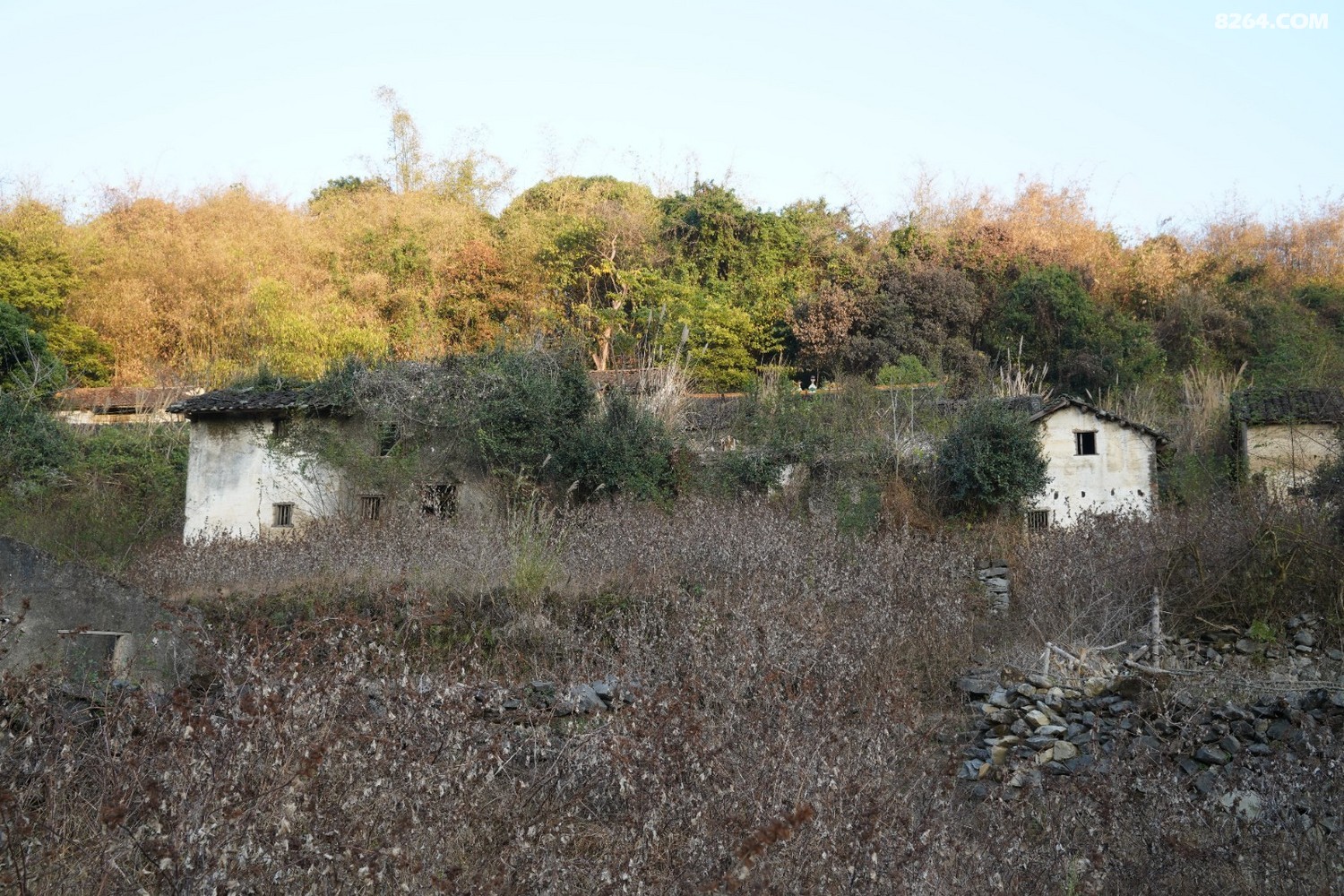 DSC05640_����.jpg