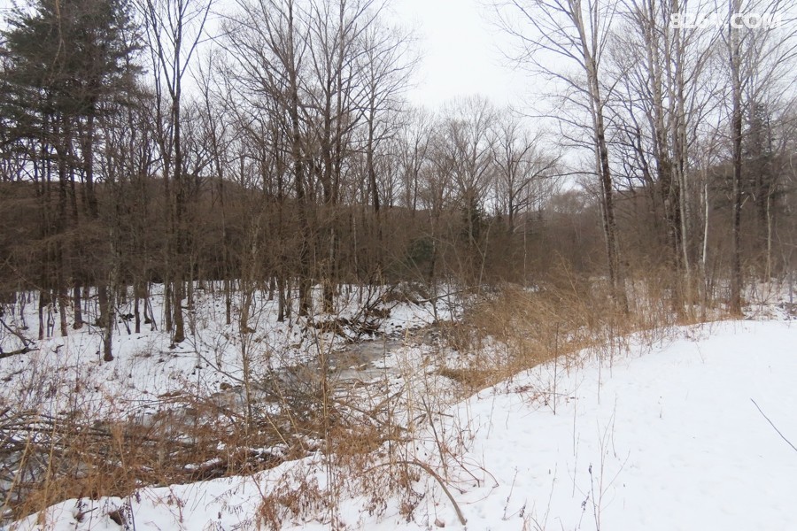 IMG_8334.jpg