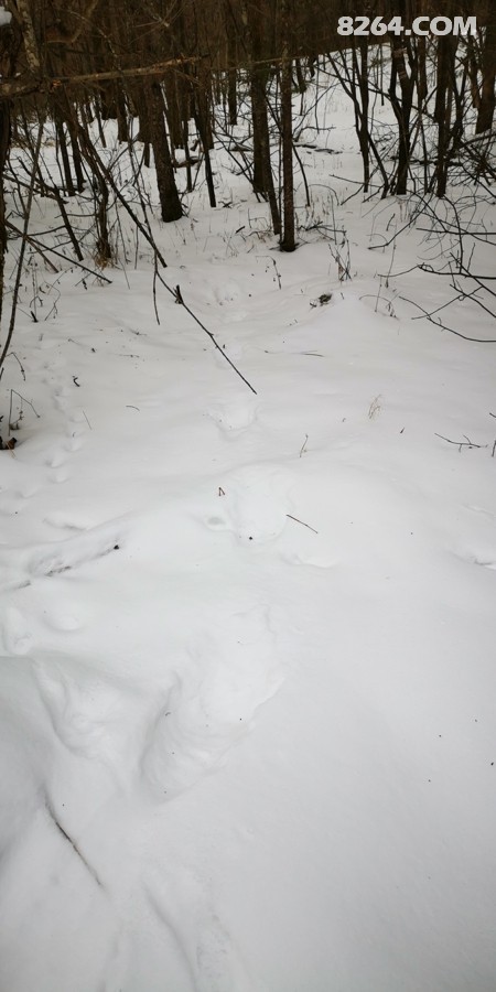 IMG_20251213_094642.jpg