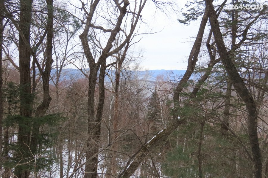 IMG_8386.jpg