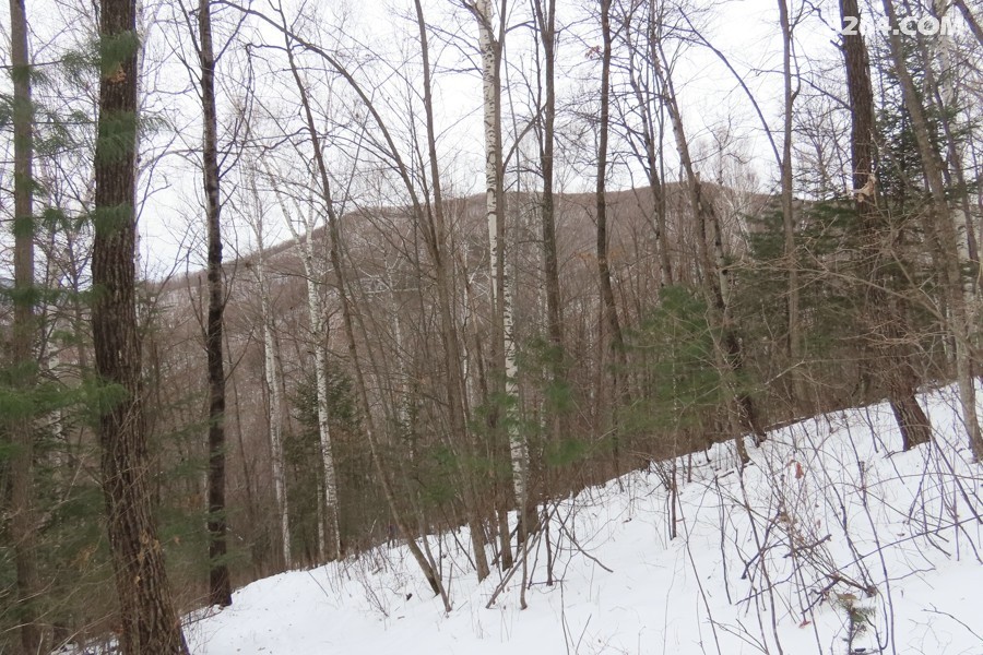 IMG_8415.jpg
