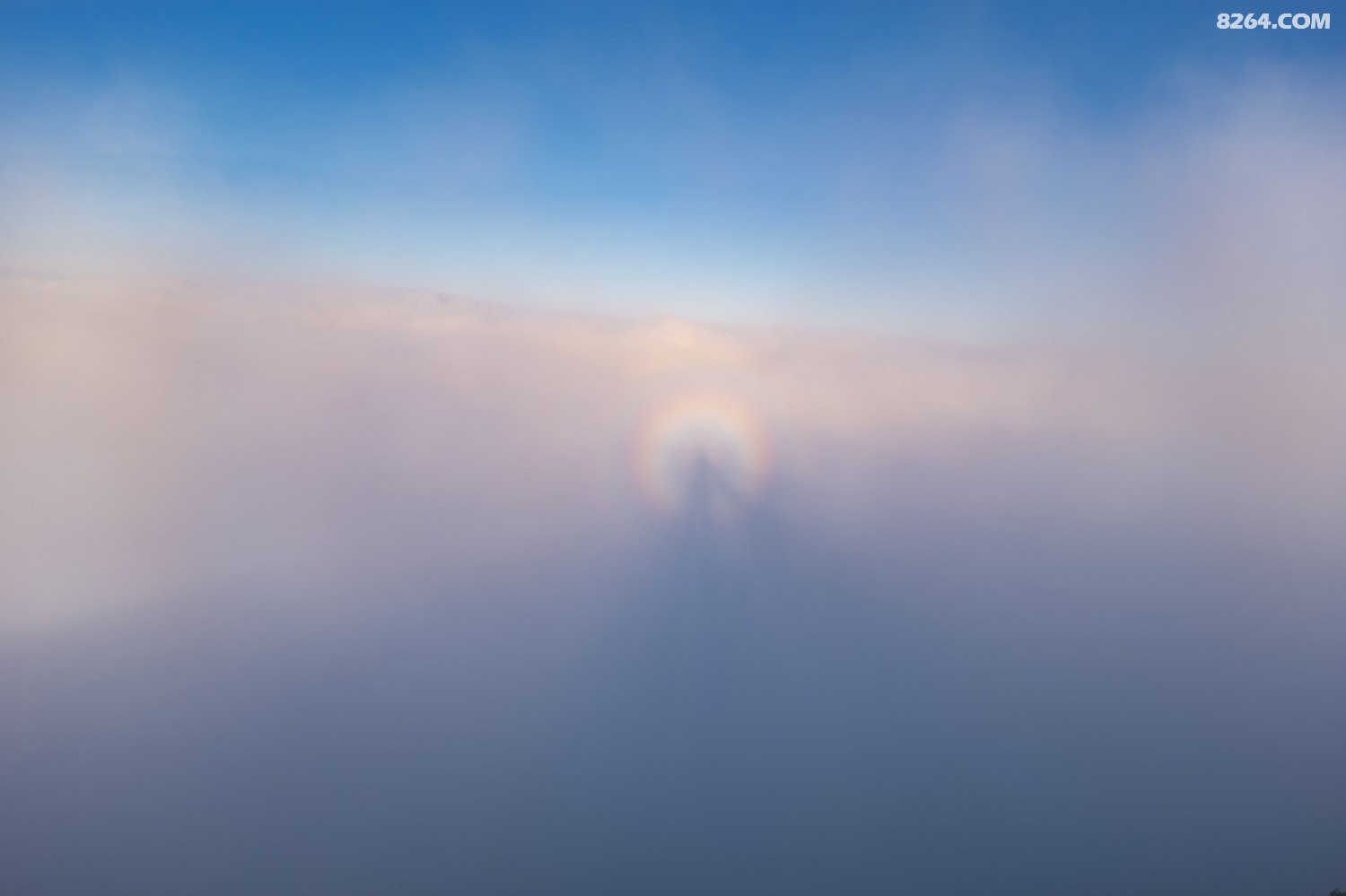 PANA6163 ����.jpg