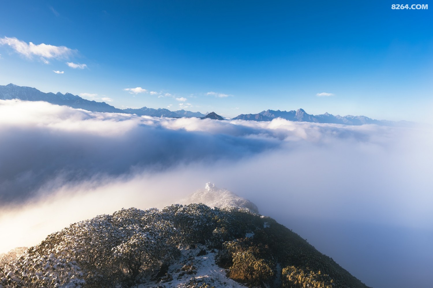 PANA6164 ����.jpg