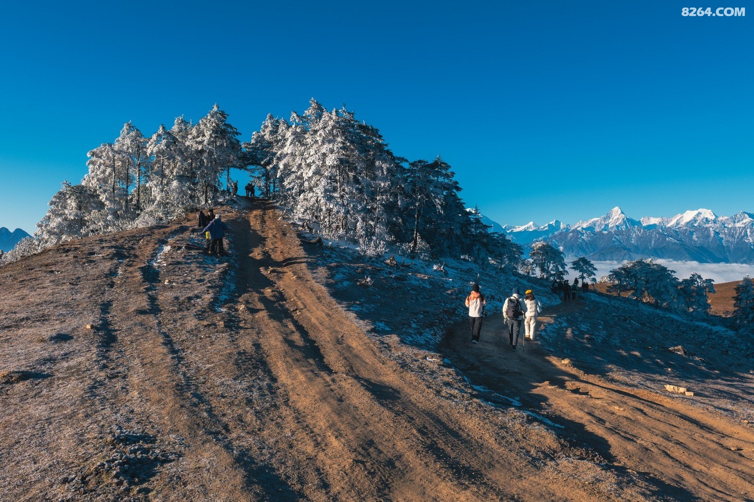 PANA6648 ����.jpg