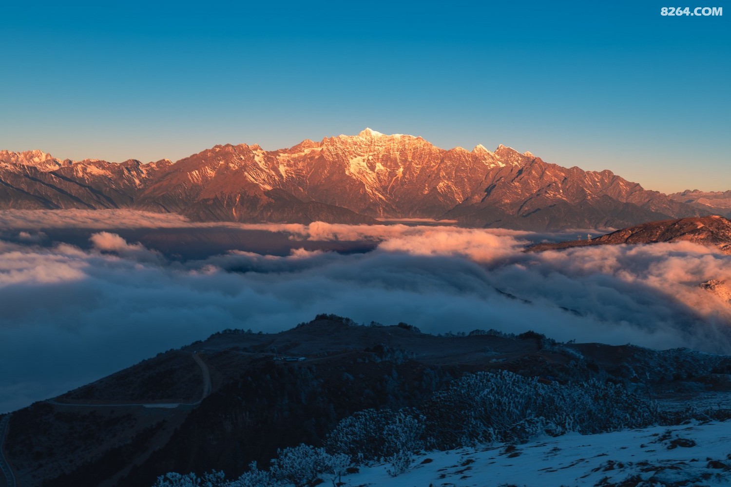 PANA6633 ����.jpg