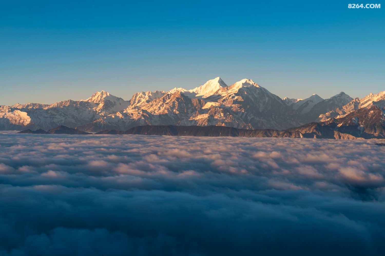 PANA6634 ����.jpg