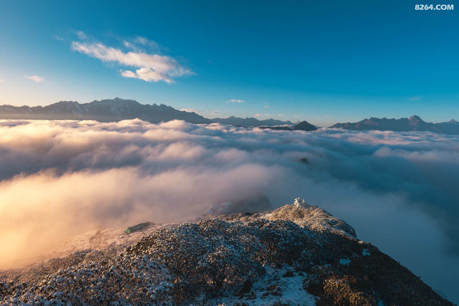 PANA6269 ����.jpg