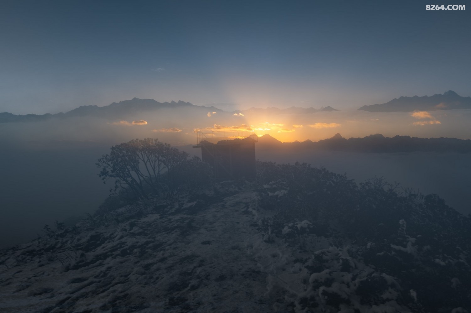 PANA6335 ����.jpg